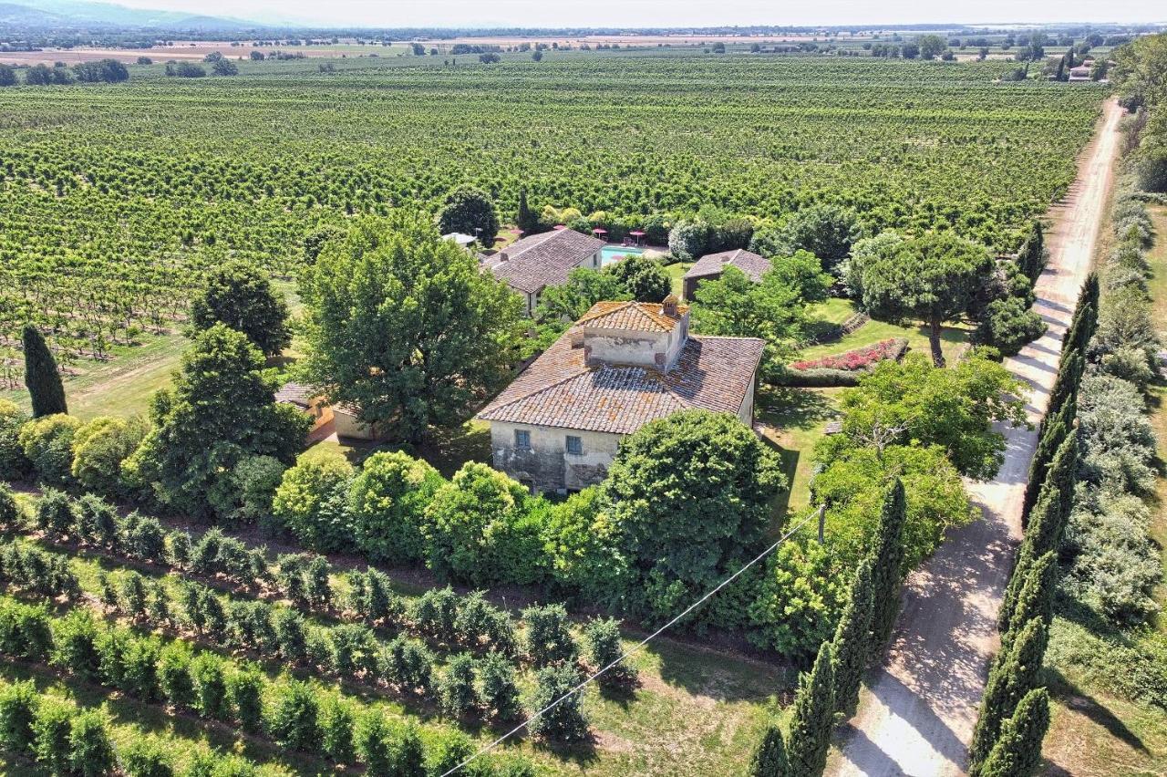 Foresteria Il Giardino Di Fontarronco Alberoro 외부 사진